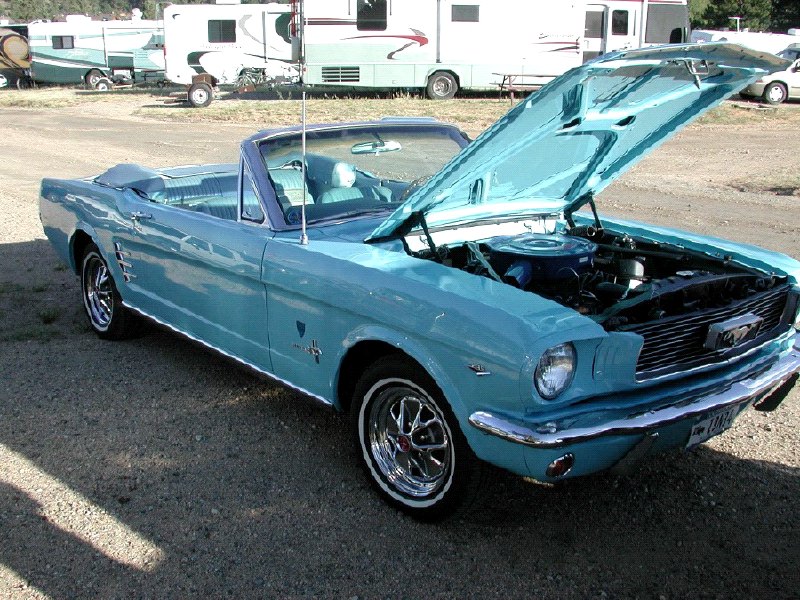 Vintage Mustang